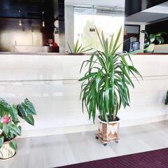 Most City Apart-Hotel интерьер отеля