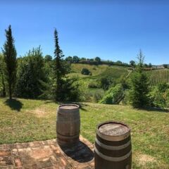 Отель Agriturismo Segnavento - Zaccagnini Италия, Стаффоло - отзывы, цены и фото номеров - забронировать отель Agriturismo Segnavento - Zaccagnini онлайн