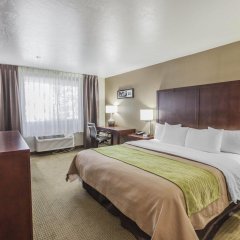 Comfort Inn Kent - Seattle in Kent, United States of America from 165$, photos, reviews - zenhotels.com guestroom photo 4