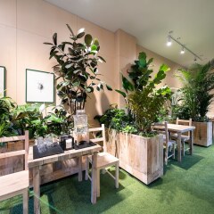 Отель Boree Hotel Южная Корея, Сеул - отзывы, цены и фото номеров - забронировать отель Boree Hotel онлайн интерьер отеля фото 2