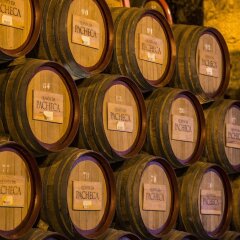 The Wine House Hotel - Quinta da Pacheca развлечения