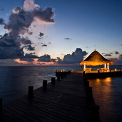 Отель Desire Riviera Maya Pearl Resort All Inclusive- Couples Only фото 4