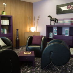 Отель Mercure Bords De Loire Saumur Сомюр развлечения
