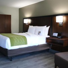 Comfort Inn in Pacheco, United States of America from 129$, photos, reviews - zenhotels.com room amenities