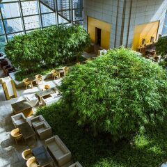 Отель Park Hyatt Tokyo Токио фото 6