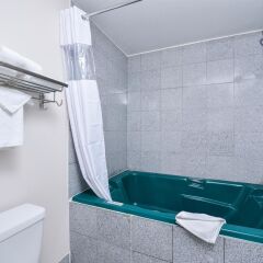 Отель Canadas Best Value Inn Valemount ванная