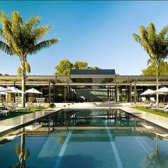 Vineyard Hotel с домашними животными