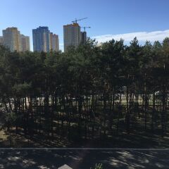 Hotel Hostynnist фото 3