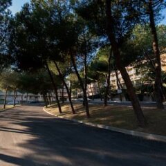Park Hotel Blanc et Noir спортивное сооружение