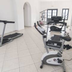 Отель Ambassador Santorini Luxury Villas & Suites фитнесс-зал фото 3