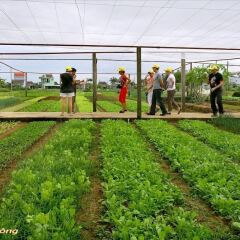 Отель Dong Nguyen Homestay Riverside фитнесс-зал