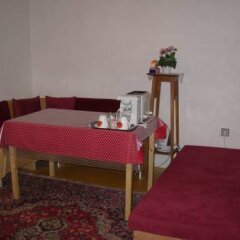 Отель Penzion Hlinkova Чехия, Пльзень - отзывы, цены и фото номеров - забронировать отель Penzion Hlinkova онлайн помещение для мероприятий