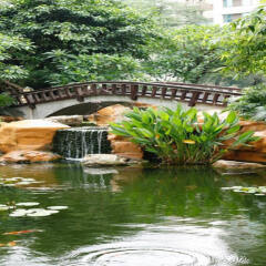 Dong Fang Hotel фото 4