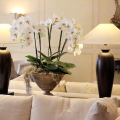 Hotel Opera Zurich интерьер отеля