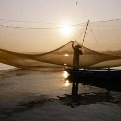 Отель Lila Homestay Hoi An фото 4