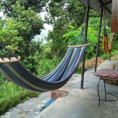 Отель Peace Guest House Pokhara Непал, Покхара - отзывы, цены и фото номеров - забронировать отель Peace Guest House Pokhara онлайн фото 2