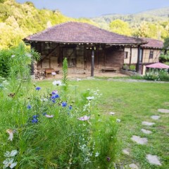 Отель Little River Guest House OLD Боженци фото 7