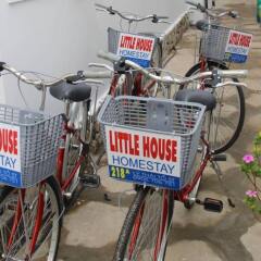 Отель Little House Homestay спортивное сооружение