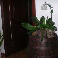 Отель Santu Nicola - Bed and Breakfast Гальяно дель Капо интерьер отеля фото 3