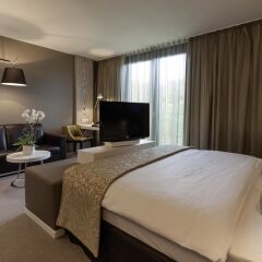 Radisson Blu Park Royal Palace Hotel комната для гостей фото 5