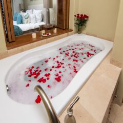 Отель Alegranza Luxury Resort Мексика, Сан-Хосе-дель-Кабо - отзывы, цены и фото номеров - забронировать отель Alegranza Luxury Resort онлайн ванная