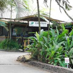 Отель Colo-I-Suva Rainforest Eco Resort Вити-Леву парковка