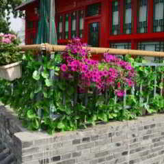 Beijing 161 Lama Temple Courtyard Hotel фото 9