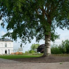 Отель De Witte Dame Нидерланды, Абкауде - отзывы, цены и фото номеров - забронировать отель De Witte Dame онлайн пляж