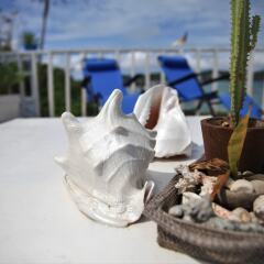 Отель Flora East Resort and Spa Филиппины, остров Боракай - отзывы, цены и фото номеров - забронировать отель Flora East Resort and Spa онлайн помещение для мероприятий
