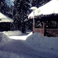 Отель Snowy Dreams Pamporovo Apartments Болгария, Пампорово - отзывы, цены и фото номеров - забронировать отель Snowy Dreams Pamporovo Apartments онлайн