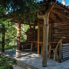 Отель Mountain Lake Hotel Болгария, Чепеларе - отзывы, цены и фото номеров - забронировать отель Mountain Lake Hotel онлайн фото 16
