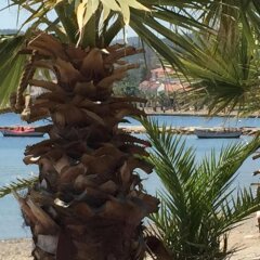 Nemrut Bay Otel Турция, Карабурун - отзывы, цены и фото номеров - забронировать отель Nemrut Bay Otel онлайн пляж