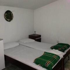 Family Hotel Detelina комната для гостей фото 4