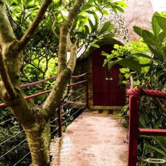 Отель Dao Anh Khanh Treehouse Ханой фото 10