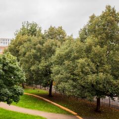 Отель 2 Bedroom Apartment Near Kings Cross Великобритания, Лондон - отзывы, цены и фото номеров - забронировать отель 2 Bedroom Apartment Near Kings Cross онлайн