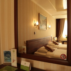 Гостиница Платан Южный 4* Стандартный номер с 2 отдельными кроватями фото 8