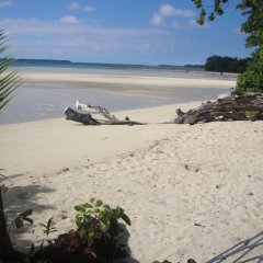 Mahi Mahi Beach Villas - Espiritu Santo in Saraotou, Vanuatu from 289$, photos, reviews - zenhotels.com photo 8