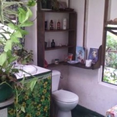 Отель B&B Nature Song Island развлечения