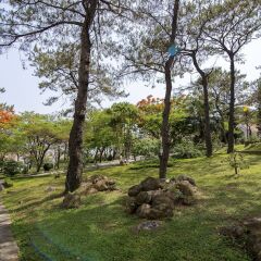 Отель Saigon Halong Халонг фото 10
