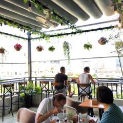 Cherish Central Hotel & Apartment гостиничный бар