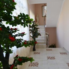 Гостиница Guest House Try Zvezdy в Анапе отзывы, цены и фото номеров - забронировать гостиницу Guest House Try Zvezdy онлайн Анапа интерьер отеля