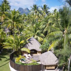 Отель Bora Bora Pearl Beach Resort and Spa фото 10