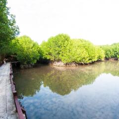Отель The Green Beach Resort