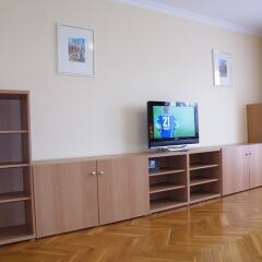 Апартаменты Apartment Buda Central Residence удобства в номере
