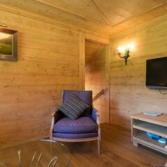 Отель Gstaad - Great Luxurious Farmhouse развлечения