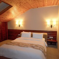 Gazelle Resort & Spa Турция, Болу - отзывы, цены и фото номеров - забронировать отель Gazelle Resort & Spa онлайн комната для гостей фото 4