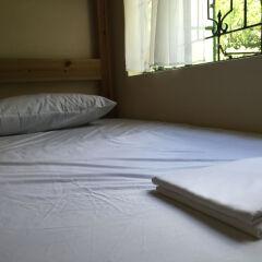Backpackers Hostel детские мероприятия фото 2