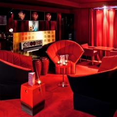 Hotel Le Royal Lyon MGallery by Sofitel развлечения