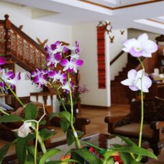 Отель The Orchid House пляж Ката сауна