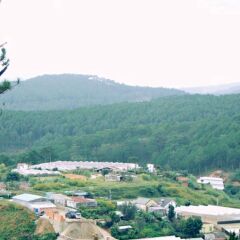 I-hotel Dalat Далат приотельная территория фото 2